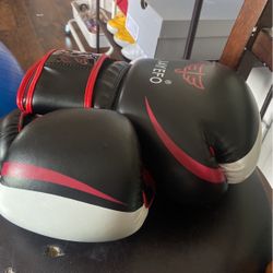 boxing goves