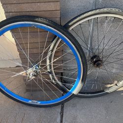 A Pair Of 29 Inch Fixie Wheels Velocity And Weinmann