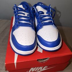 Nike Dunk Low Blue/White size12 (NEVER WORN)