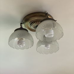 Vintage Ceiling light