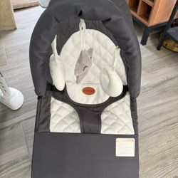 Baby Bouncer