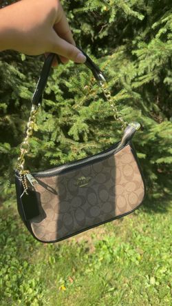 Brown and Black Bag