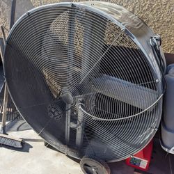 Shop Fan