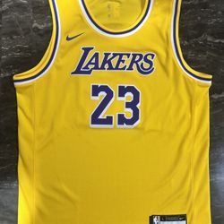 Nike LeBron James Lakers Jersey