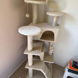cat climber and scratcher
