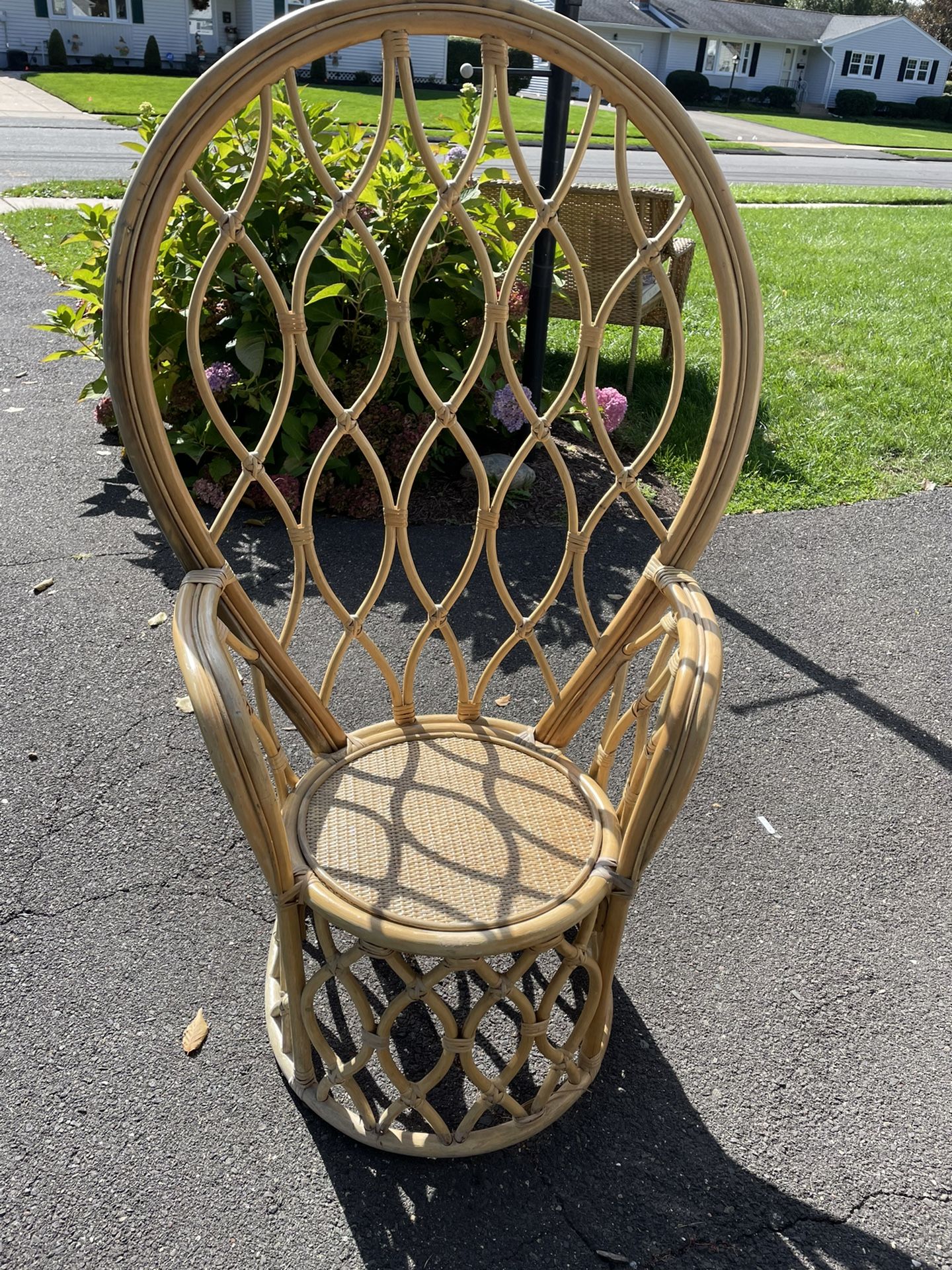 Peacock Chair