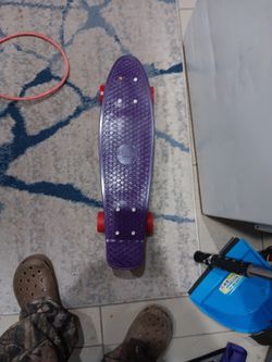 Penny Board Skateboard 