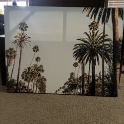 Wall Canvas 