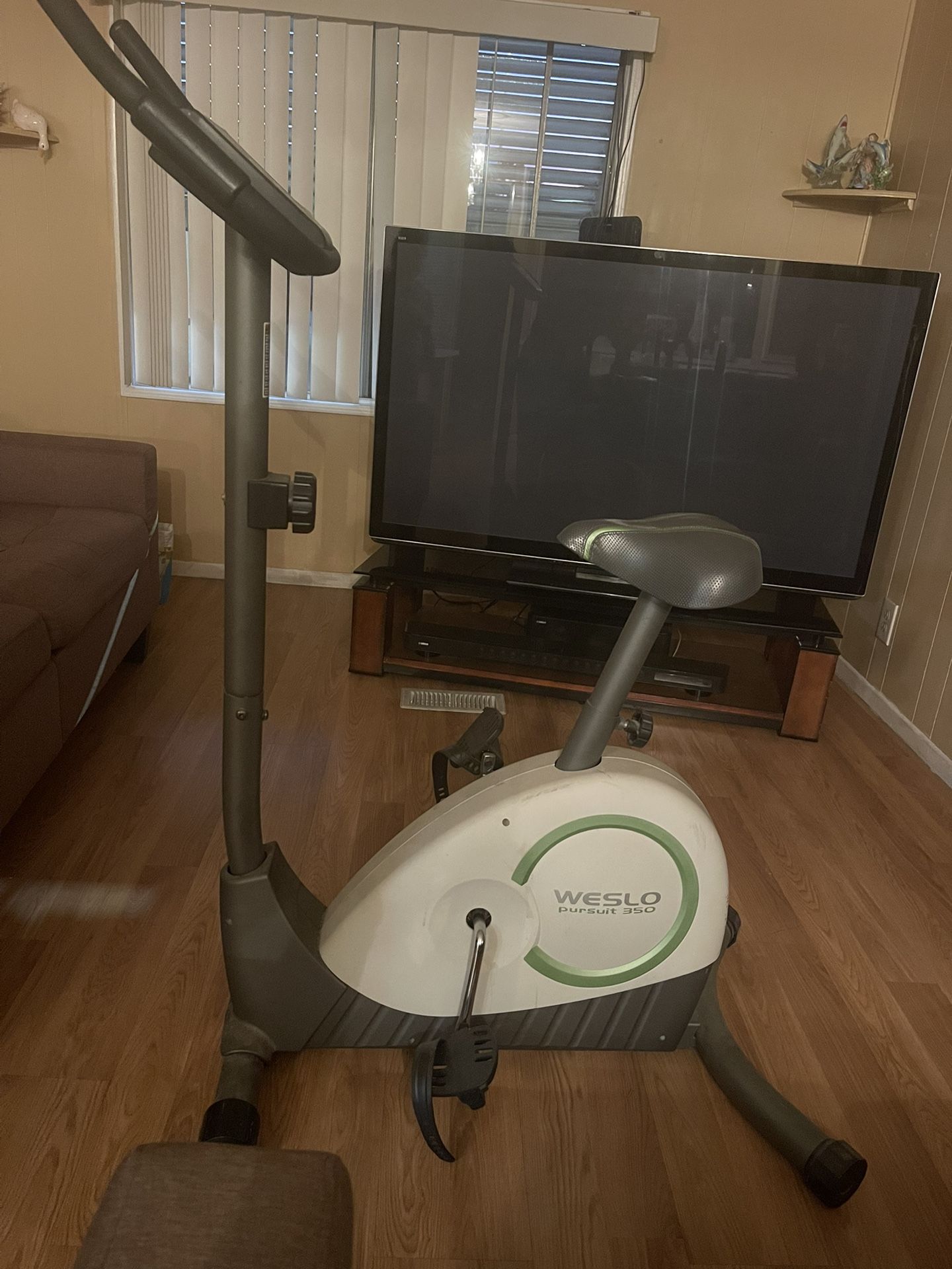 Weslo Exercise Bike