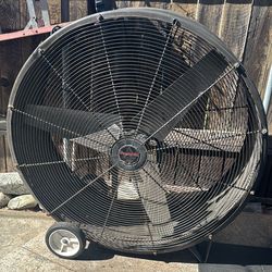Portable large fan