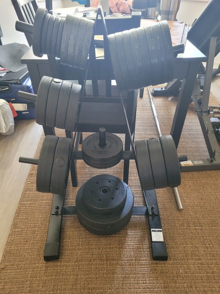 Massive Home Gym Setup – Weights, Bench, Rack - $250