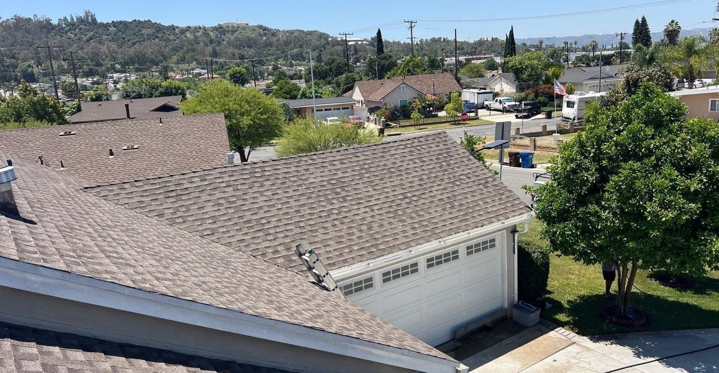 Christmas Roof Blowout — Final December Openings