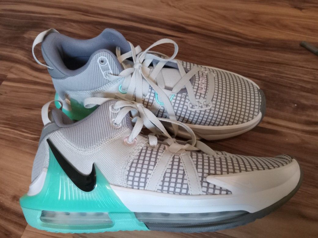 Nike LeBron Sz 9