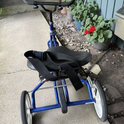 Mobility Bike