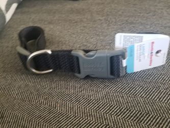 Basic Dog Collar - L - Black - Boots & Barkley™ : Target