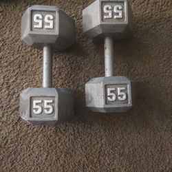 55 Pound Dumbbells 