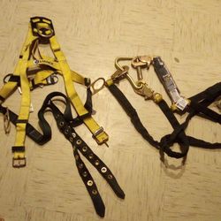 Harness and Landyard