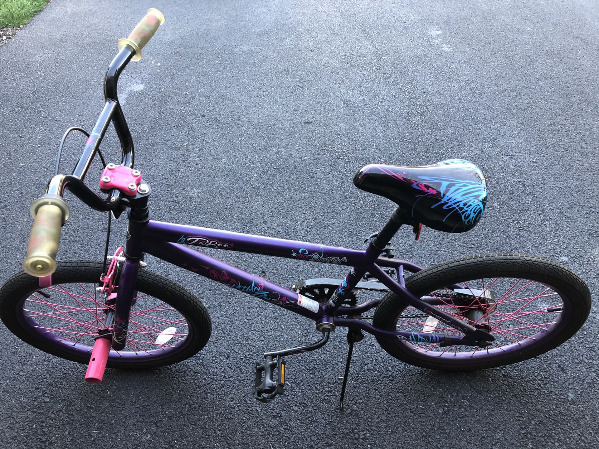 20” Girls Bike