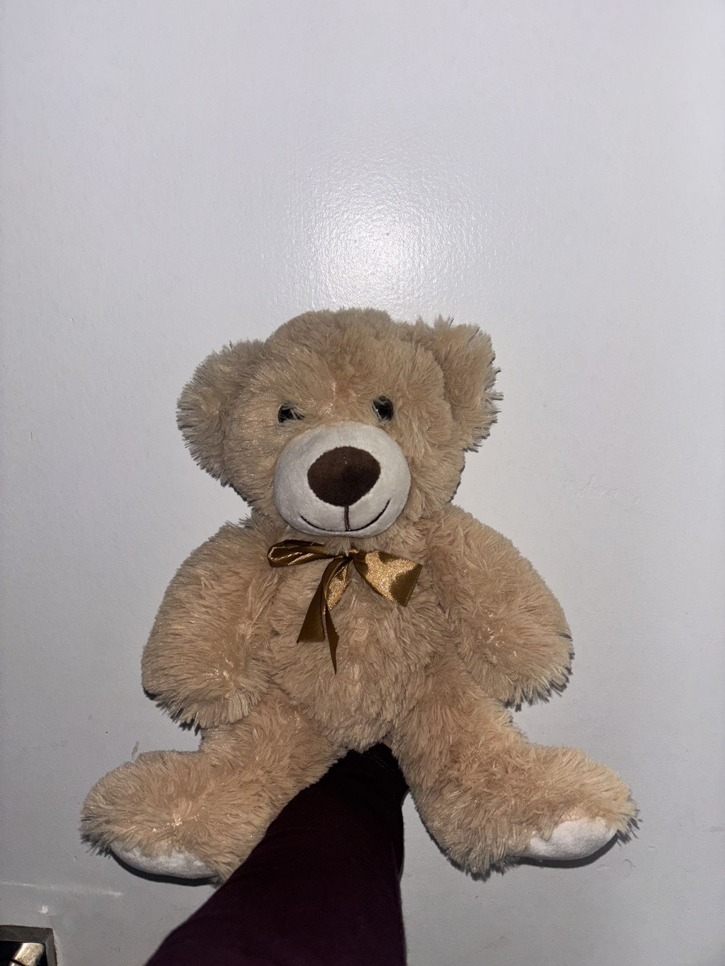 Cute Teddy Bear!