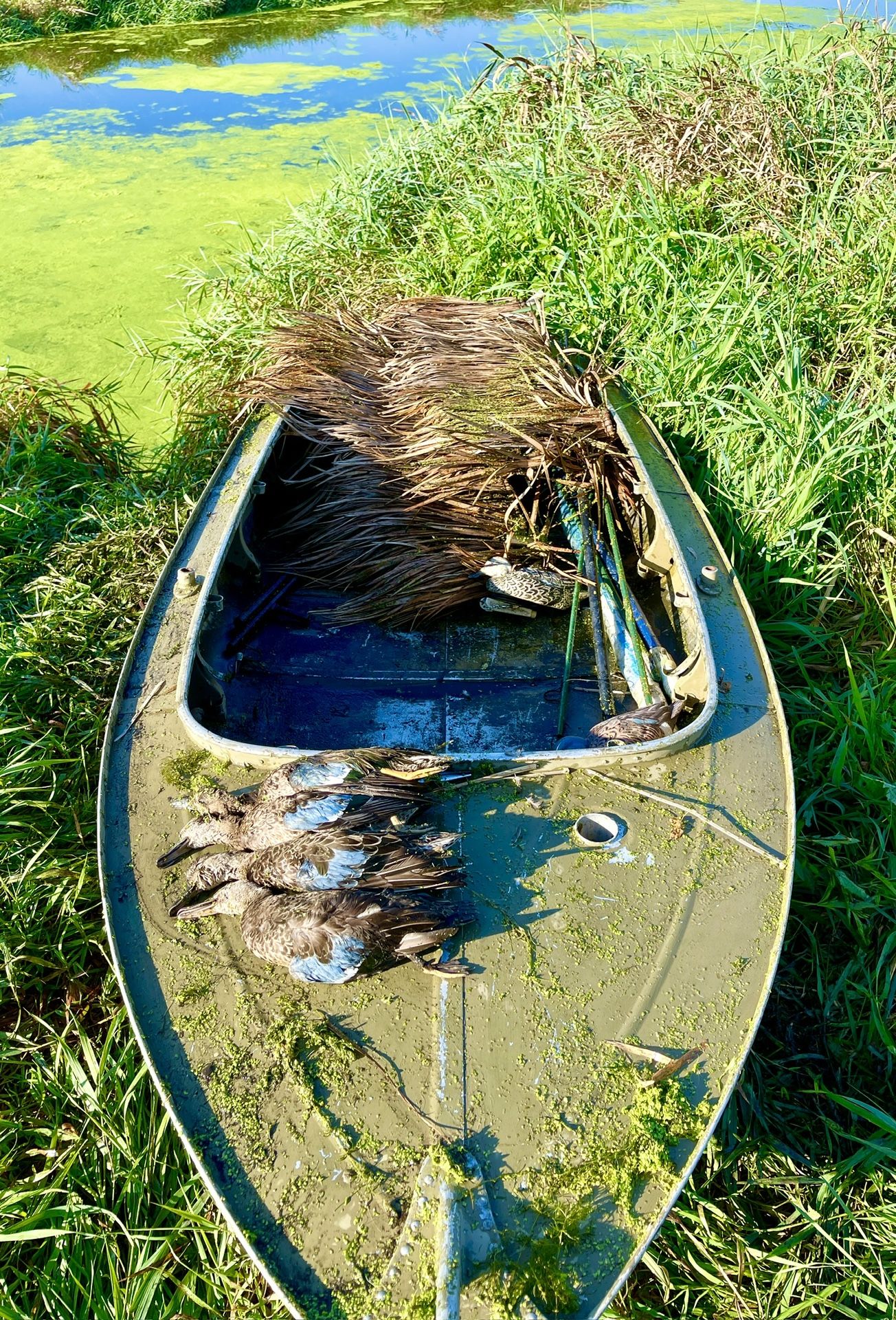 1950 Alumacraft Ducker