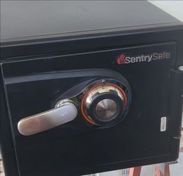 Sentry safe