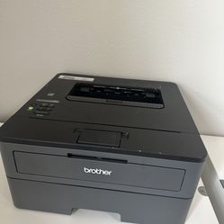 Brother Laser Printer With Paint Cartridges 