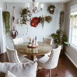 Dining Chairs