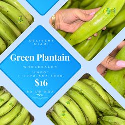 Green Plantain From Ecuador