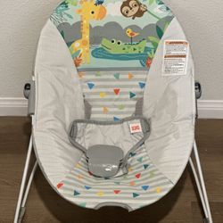 Baby Bouncer 
