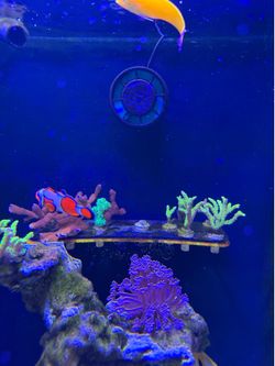 Fake coral aquarium decorations