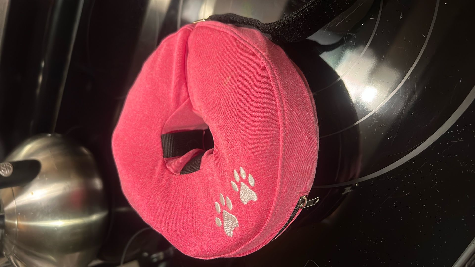 Recovery Donuts For Cats