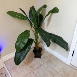 Artificial Banana Plant