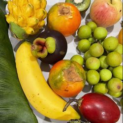 New Artificial Fruits, Different Prices. See Description Below