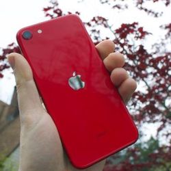 Red SE iPhone Unlocked 