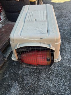 Dog House
