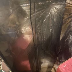 Flatscreen 75 Inches With Crack In Screen