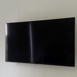 50 In Tv And Bracket 