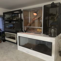 Downsizing Reptile Collection / Supplies And Tanks