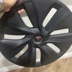 Tesla Rims