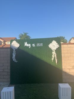 Turf wall for sale