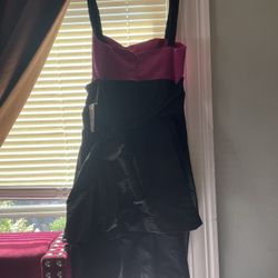 BCBG Pink Flare Dress Brand New size 6 