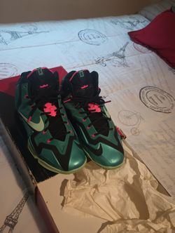 LeBron South Beach Sz12
