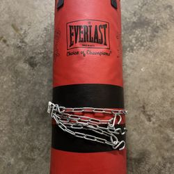 Boxing Punching Bag