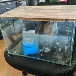 10 Gallon Fish tank 