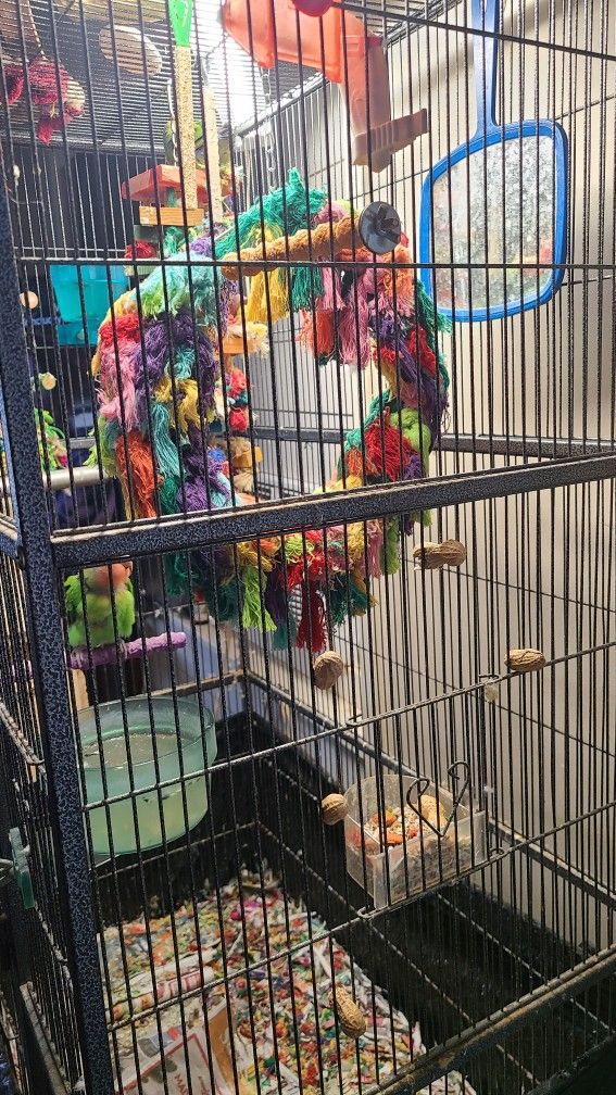 Large Bird Cage