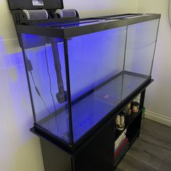 Marinland 60 Gallon Aquarium 