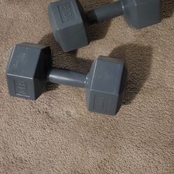 2- 10 Pound Dumbbells