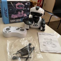 Cady-wish Robot