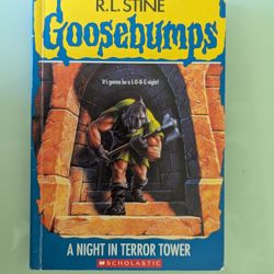 R.L. Stine Books Goosebumps: A Night In Terror Tower 