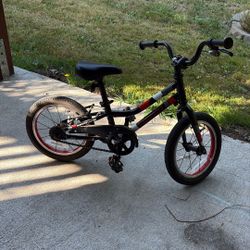 Guardian Bike, 14”